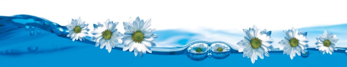 Art. 4499 Czvety 1200x232