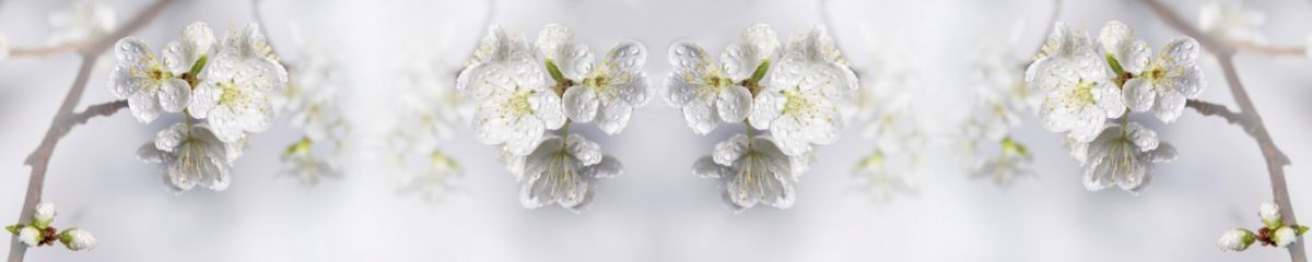Art. 4580 Czvety 1200x240