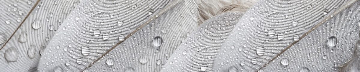 Art. 4643 Tekstury Fony 1200x240