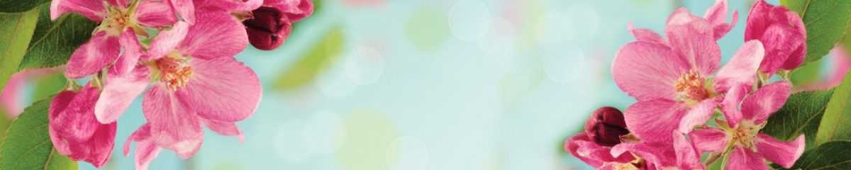 Art. 4747 Czvety 1200x240