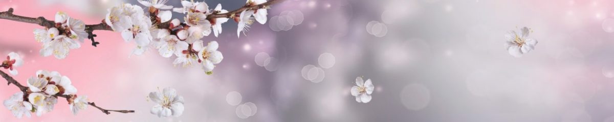 Art. 4749 Czvety 1200x240