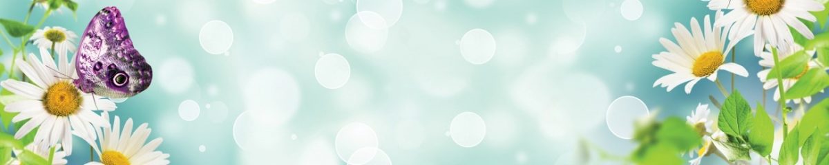 Art. 4754 Czvety 1200x240