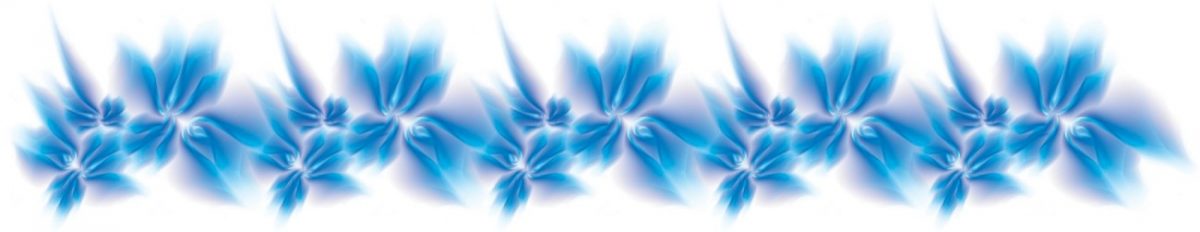 Art. 4763 Czvety 1200x232