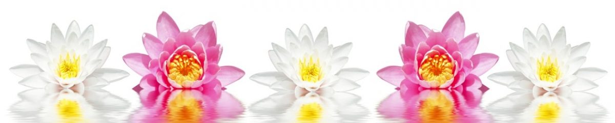 Art. 4764 Czvety 1200x240