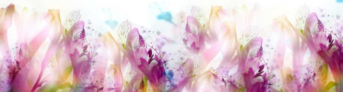 Art. 4935 Czvety 1200x323