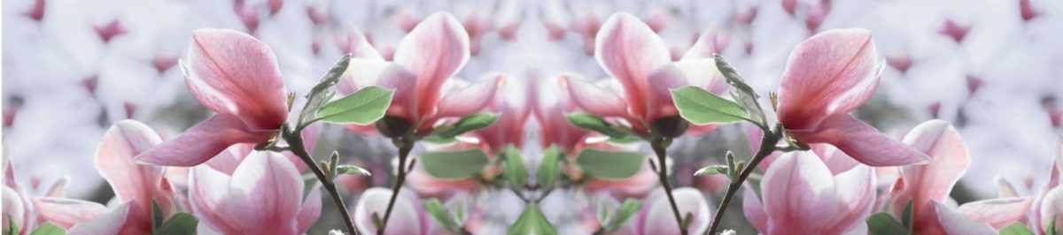 Art. 5078 Czvety 1200x266
