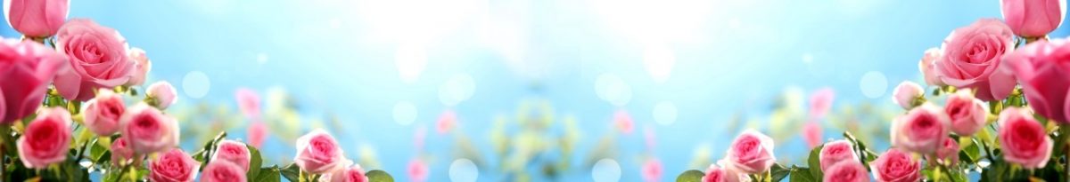 Art. 5477 Czvety 1200x205