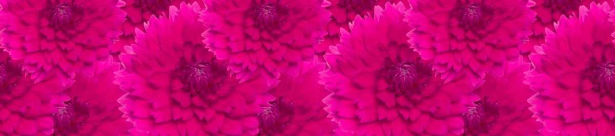 Art. 5550 Czvety 1200x266