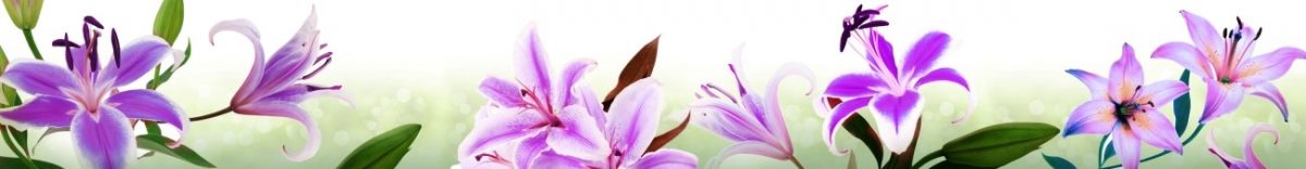 Art. 5638 Czvety 1200x156