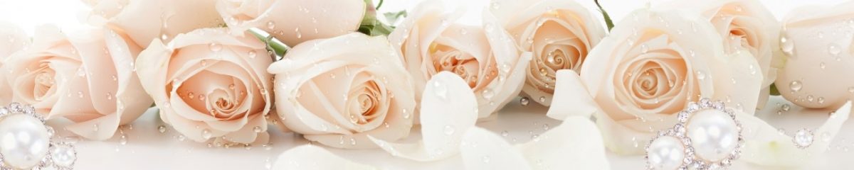 Art. 5658 Czvety 1200x240