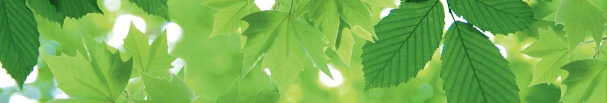 Art. 5695 Risovannye Raznoe 1200x205