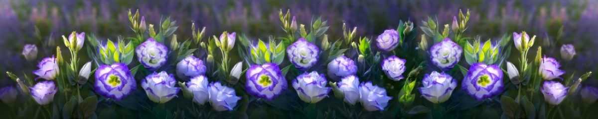 Art. 5736 Czvety 1200x240