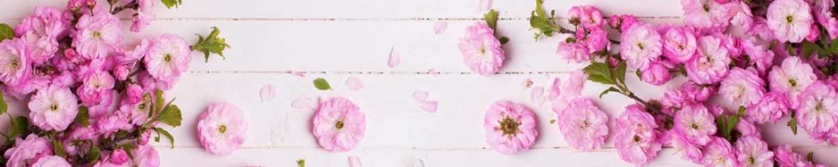 Art. 5816 Czvety 1200x240