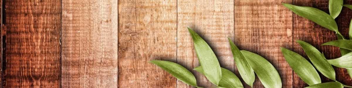 Art. 5937 Risovannye Raznoe 1200x300