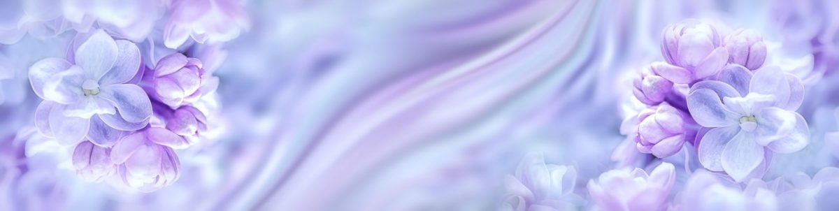 Art. 5939 Czvety 1200x302