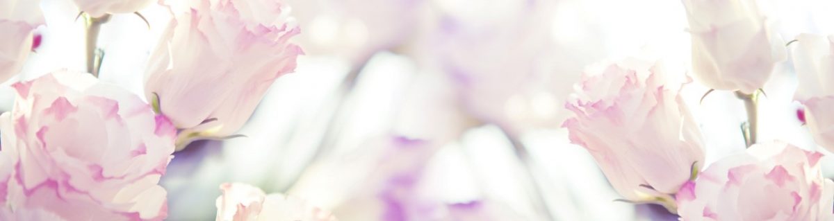 Art. 6033 Czvety 1200x319
