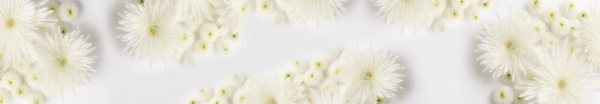 Art. 6104 Czvety 1200x209