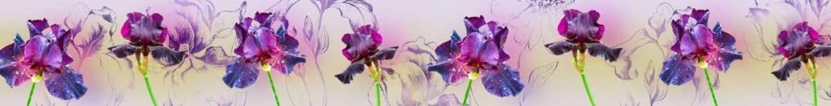 Art. 6136 Czvety 1200x154