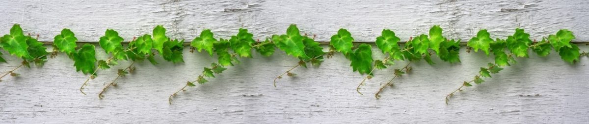 Art. 6235 Risovannye Raznoe 1200x254