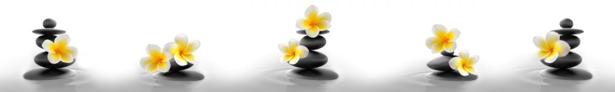 Art. 6339 Czvety 1200x180