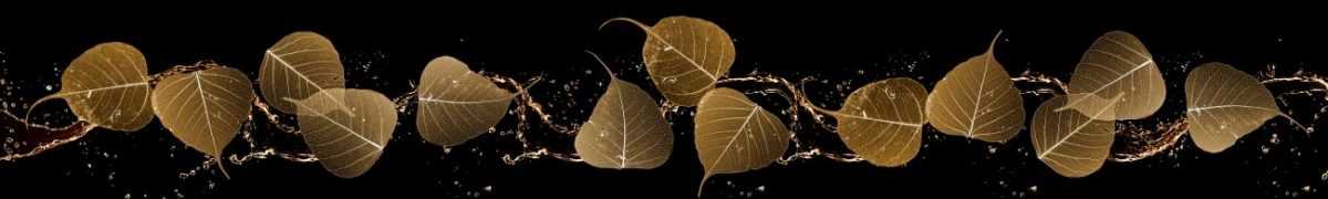 Art. 6382 Risovannye Raznoe 1200x180