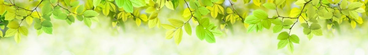 Art. 6395 Risovannye Raznoe 1200x180