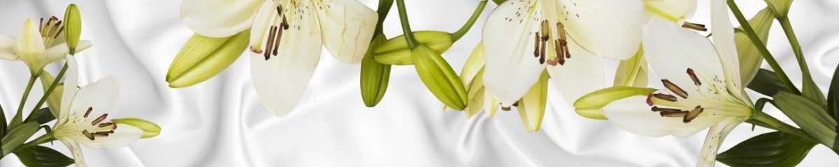 Art. 6577 Czvety 1200x240