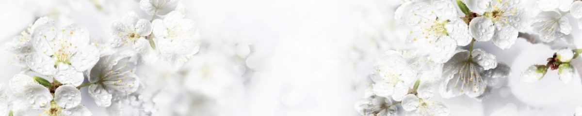 Art. 6688 Czvety 1200x240