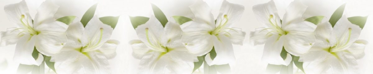 Art. 6742 Czvety 1200x240