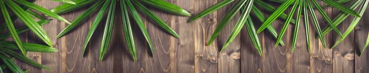 Art. 6796 Risovannye Raznoe 1200x240