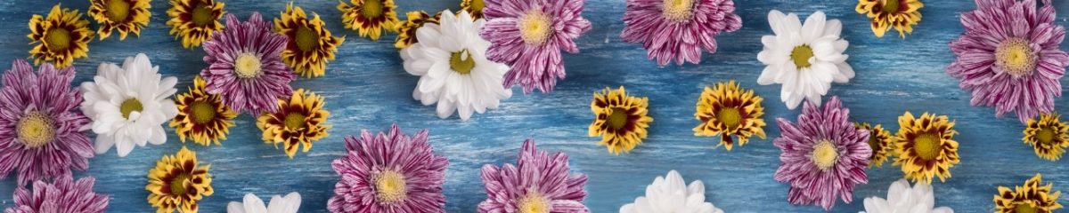 Art. 6801 Czvety 1200x240