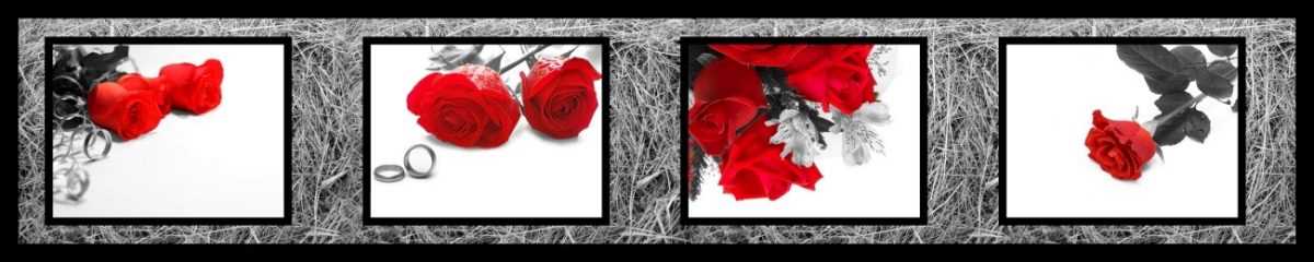 Art. 6890 Czvety 1200x240