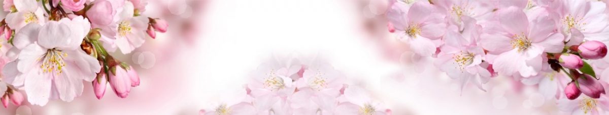 Art. 6968 Czvety 1200x228