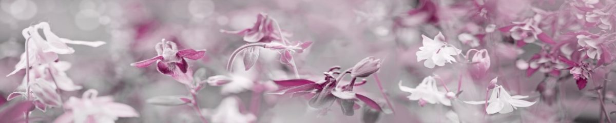 Art. 6984 Czvety 1200x240