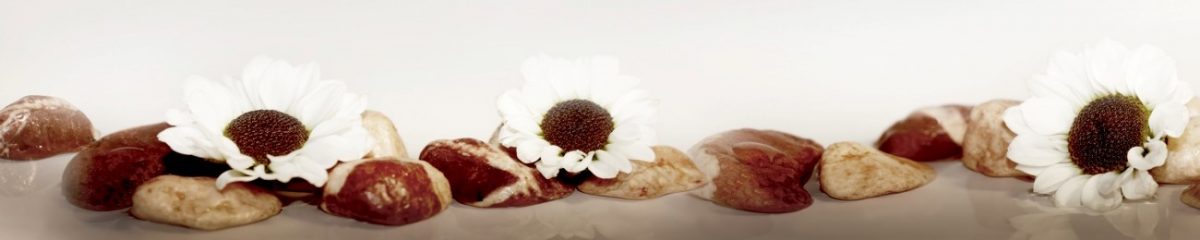 Art. 7095 Czvety 1200x240