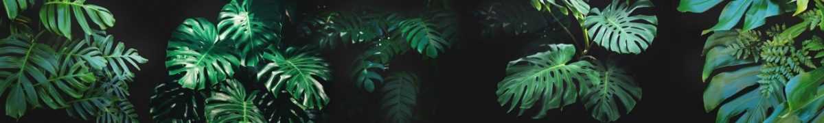 Art. 7288 Risovannye Raznoe 1200x180