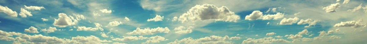 Art. 7381 Risovannye Raznoe 1200x144