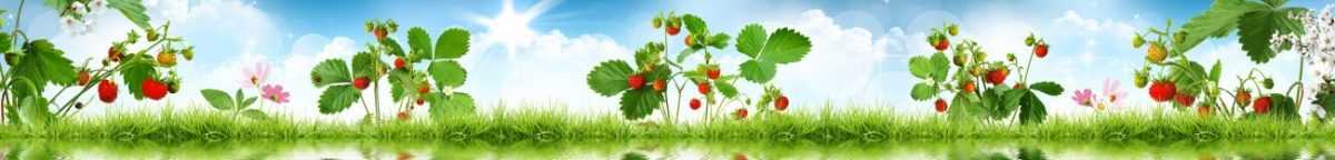 Art. 7422 Risovannye Raznoe 1200x144