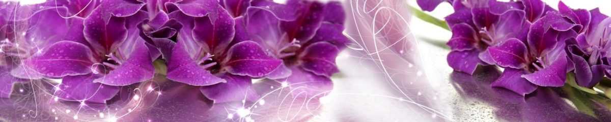 Art. 7497 Czvety 1200x240