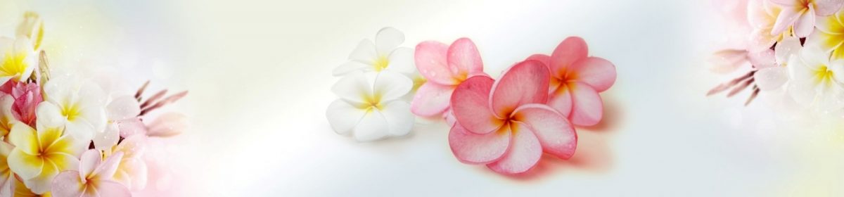Art. 7599 Czvety 1200x280