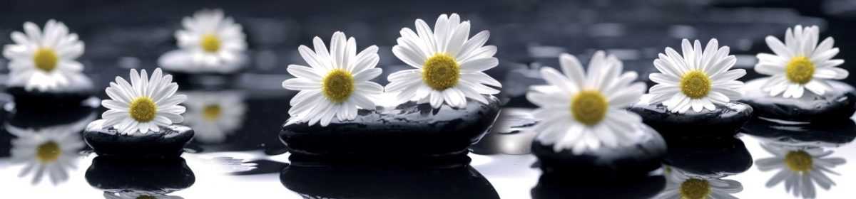 Art. 7655 Czvety 1200x280