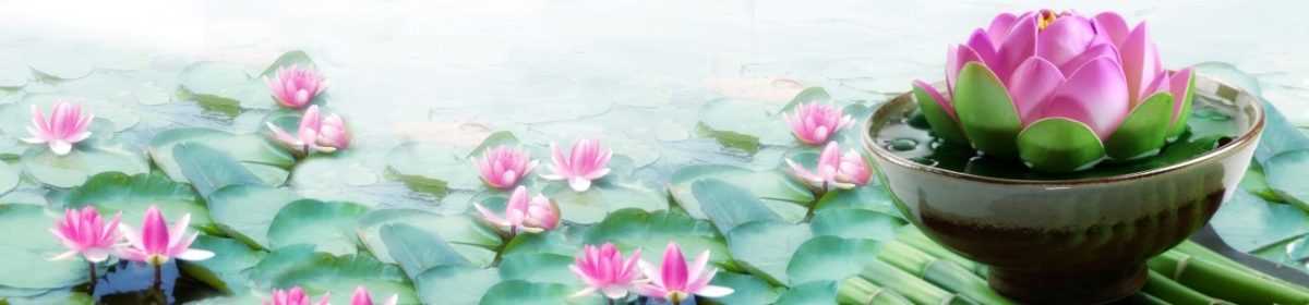 Art. 7661 Czvety 1200x280