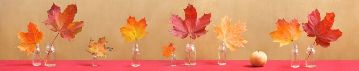 Art. 7685 Risovannye Raznoe 1200x240