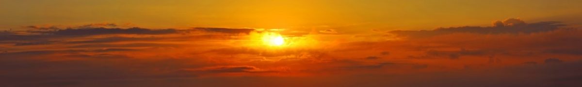 Art. 7688 Risovannye Raznoe 1200x181