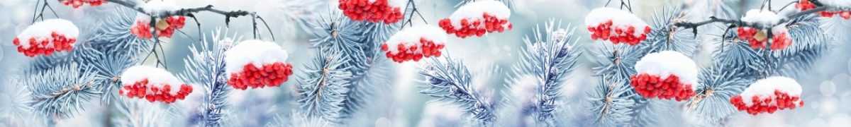 Art. 7807 Risovannye Raznoe 1200x180