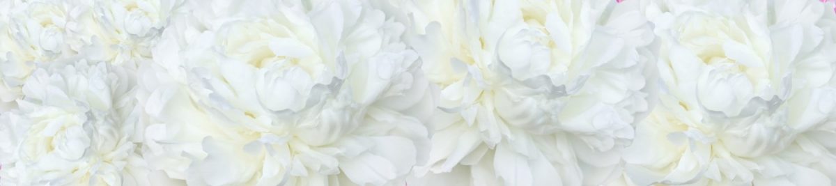 Art. 9281 Czvety 1200x267