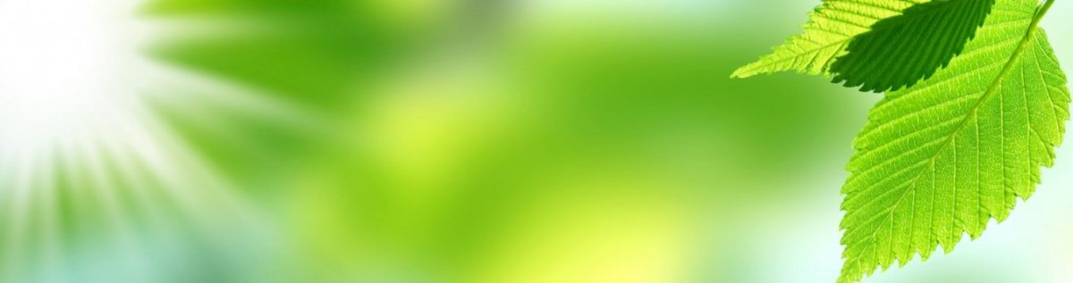 Art. 9725 Risovannye Raznoe 1200x317