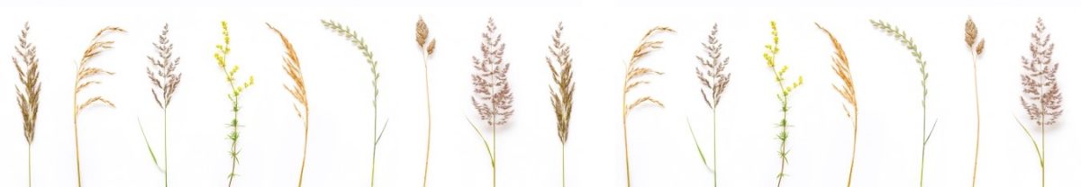 Art. 9738 Risovannye Raznoe 1200x208