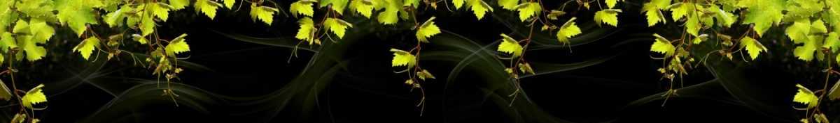 Art. 9810 Risovannye Raznoe 1200x177