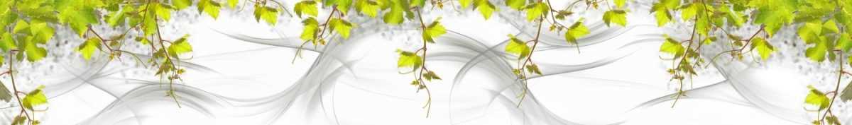 Art. 9855 Risovannye Raznoe 1200x177